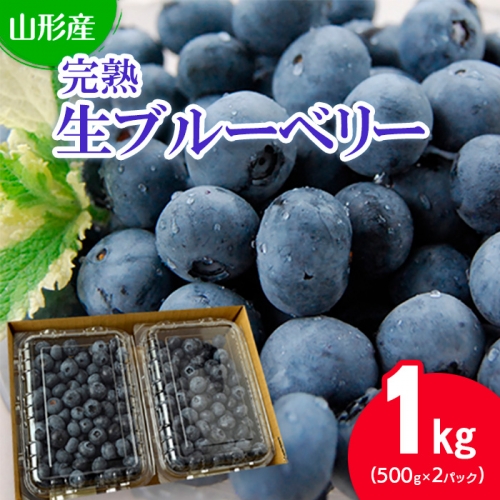 山形の完熟生ブルーベリー 1kg(500g×2パック) FU20-082