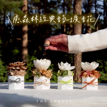 開運組合🪭快速出貨【癒森林】經典擴香花+香氛油10款任你選 摩羯座生日禮物