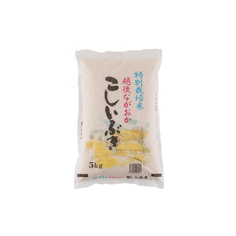 新米 精白米 5kg 新潟県産 こしいぶき 安心安全な特別栽培米 令和5年産(5kg)