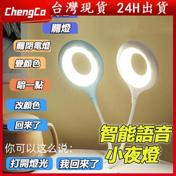 【台灣現貨】智能人工語音控製小夜燈 USB 床頭燈 護眼檯燈 LED 插電式臥室床頭睡眠 聲控感應 傢用夜光臺燈 小夜燈