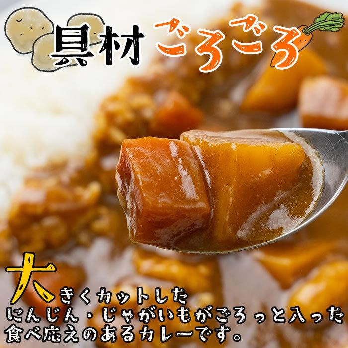 大人の甘口カレー＆選べる名店カレー 計2食お試しセット