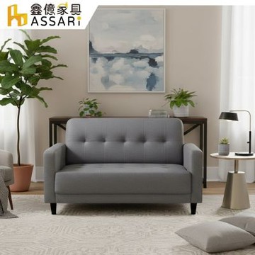 ASSARI-艾莉雅輕奢現代貓抓皮雙人座沙發