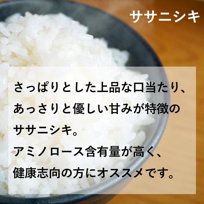 ササニシキ 玄米 