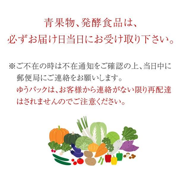 産地直送！ 和歌山県 訳あり 本柚子（ゆず） 1kg　※サイズ不揃い