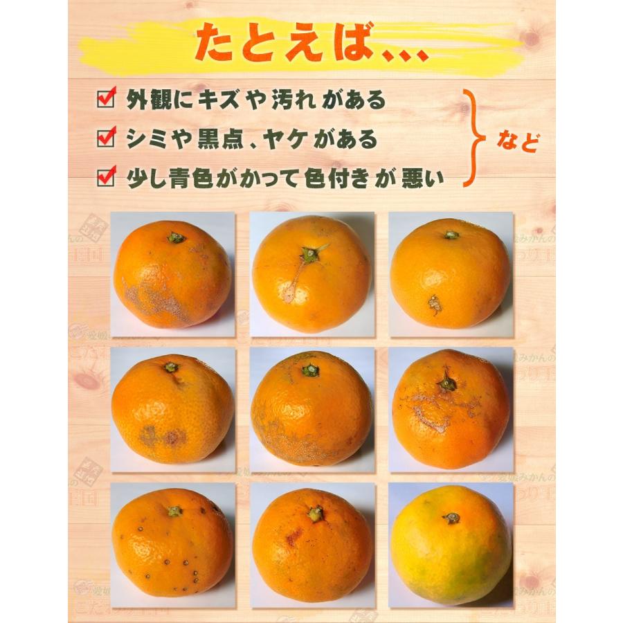 小玉みかん こまちゃん お試し用 2kg 愛媛県産 小玉 みかん 家庭用 訳あり 愛媛みかん 送料無料 プチ 小粒 2S 3S 箱買い 蜜柑 温州 早生 南柑 20号 SS 2キロ