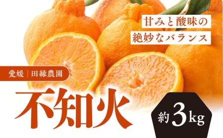 田縁農園の不知火（しらぬい）3kg ※着日指定不可 ※離島への配送不可 ※2024年2月上旬～3月上旬頃に順次発送予定