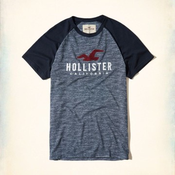 Hollister HCO 短袖 LOGO T恤 藍色 425