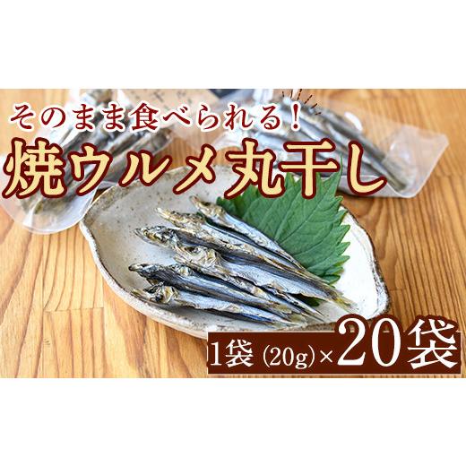 ふるさと納税 鹿児島県 阿久根市 焼ウルメ丸干し20袋セット(20g×20袋)海産物 いわし 鰯 ウルメイワシ おつまみ おかず24-11