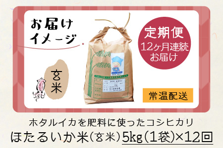 ほたるいか米（玄米５kg）×12回 計60kg