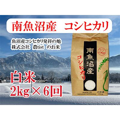 ふるさと納税 南魚沼市 南魚沼産 コシヒカリ 白米2kg 全6回