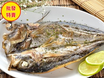 批發價--黃金竹筴魚一夜干20