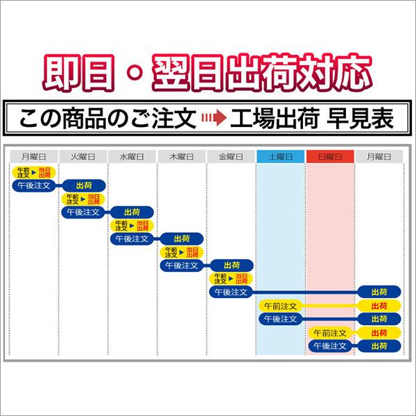 新米 令和5年(2023年)産  熊本県産 森のくまさん 白米 24kg（2kg×12袋）