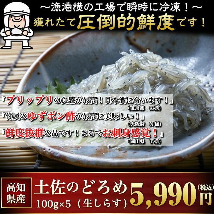 土佐のどろめ お刺身生しらす 5パック 土佐のぬた付 高知県産 ギフト 誕生日