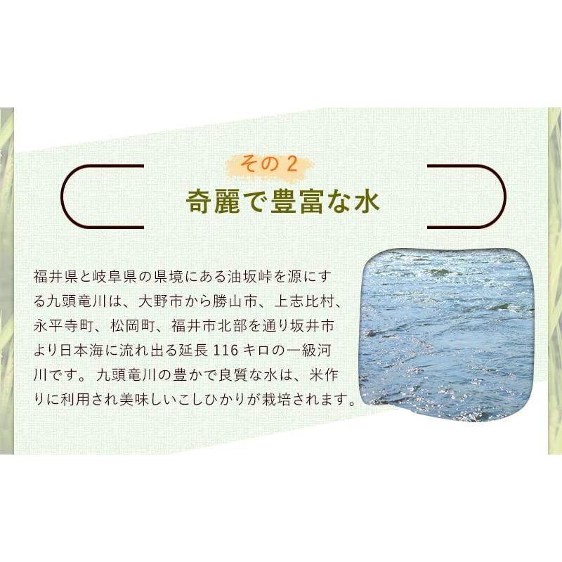 白米 いちほまれ 福井県の新しいブランド米 10kg（5kg×2） 令和5年産 福井県産