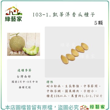 【綠藝家】I03-1.凱蒂洋香瓜種子 5顆 耐白粉病，生長勢強，中等節間。中粗浮網，圓果綠肉
