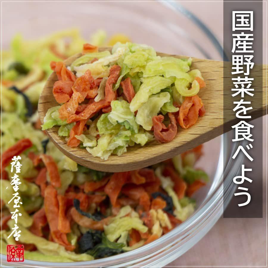 国産乾燥大根 100g 国産乾燥野菜シリーズ 切干 だいこん エアドライ 低温熱風乾燥製法 九州産 熊本県産 みそ汁 フリーズドライ  保存食 非常食 長期保存