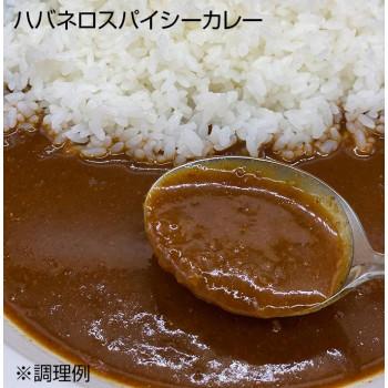 ご当地カレー ハバネロスパイシーカレー 10食セット （送料無料） 直送