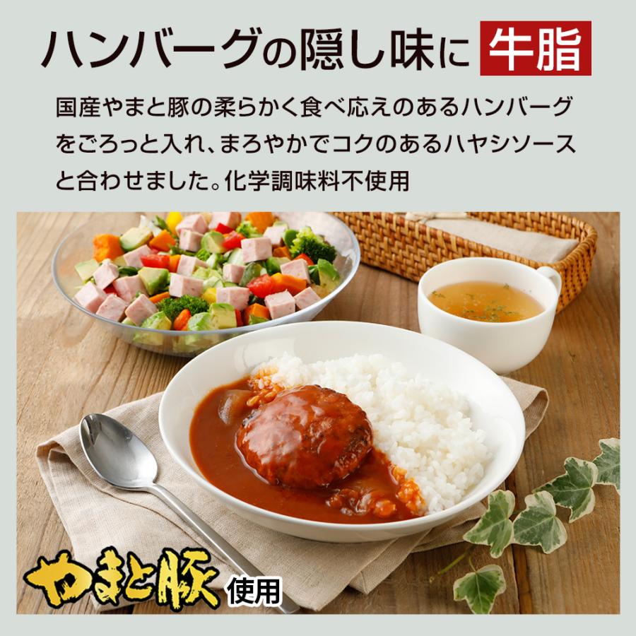 水谷隼 レトルトカレー 3種 NS-BE [常温] レトルト レトルト食品 カレー ハヤシライス セット 食品 常温保存 常温保存できる ご飯のお供 お取り寄せ