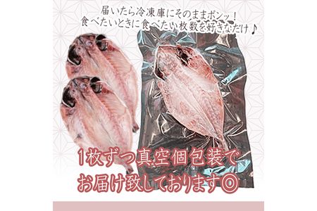 小田原名物「干物」をさまざまな魚でそれぞれのおいしさを。小田原干物 選りすぐり10枚セット