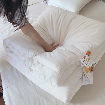 純棉生態無印染大豆被加厚保暖單人冬被柔軟被芯雙人春秋被子夏被