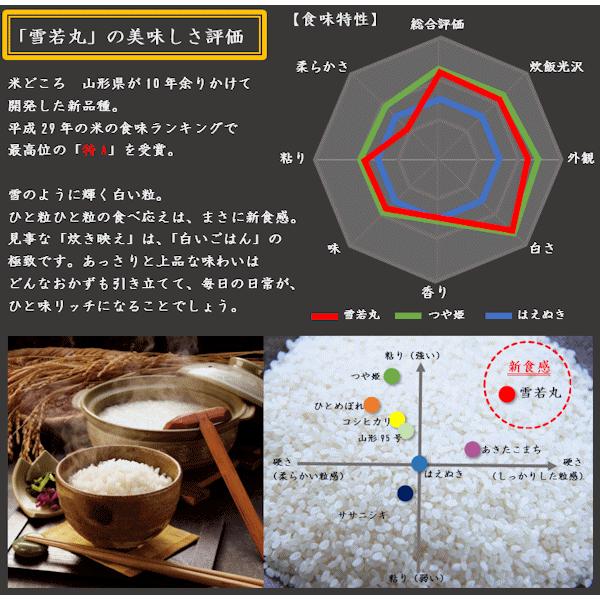 雪若丸 （令和5年産）玄米 5kg