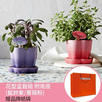【收禮者可自選】Le Creuset-瓷器花型盆栽組 附底座 (藍鈴紫/薔薇粉-2色可選)