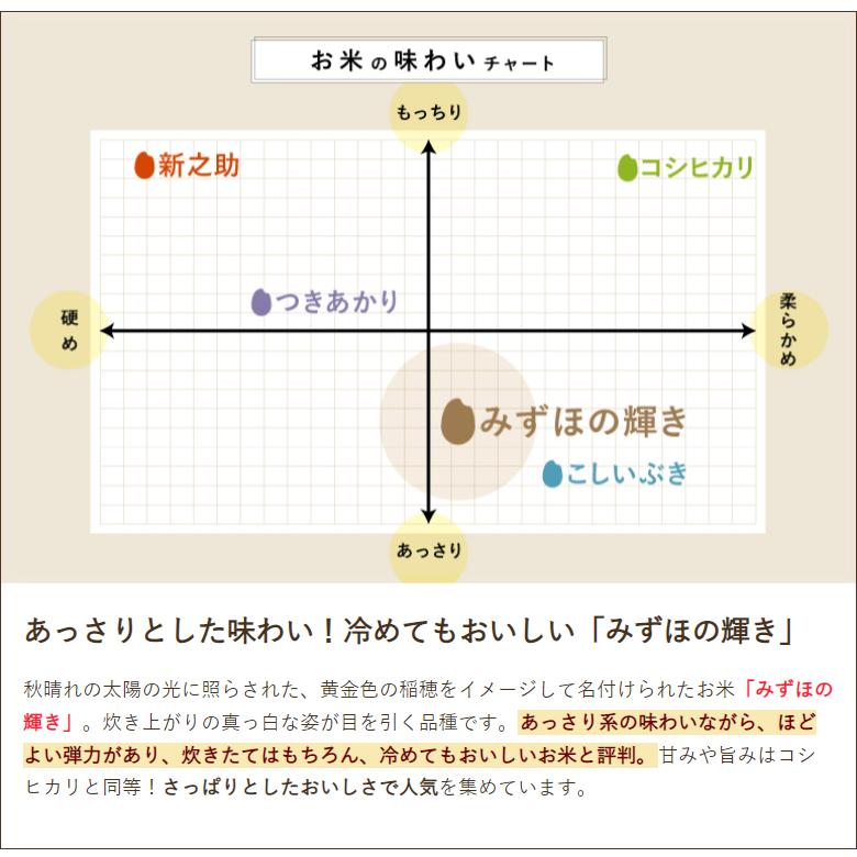 分づき米 新潟産みずほの輝き 10kg（5kg×2袋） KOMESHIKA 新潟直送計画 送料無料