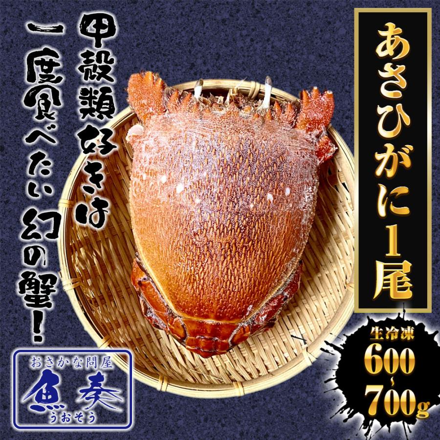 あさひがに 1尾 約600〜700g 生冷凍 旭蟹 朝日蟹 アサヒガニ かに カニ 蟹 送料無料