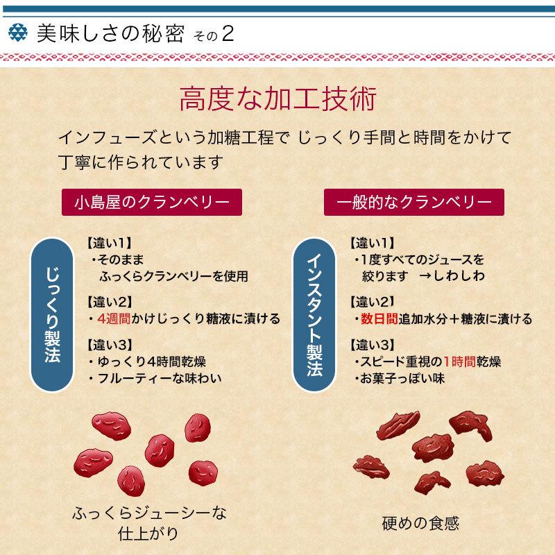 ドライフルーツ クランベリー ドライクランベリー ラトビア産 100g ノンオイル 保存料不使用 サクサク食感