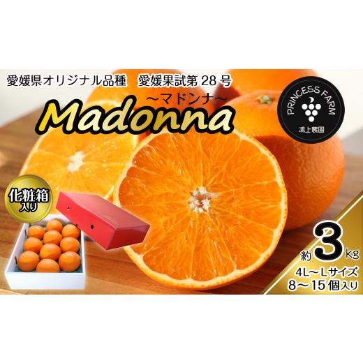 ふるさと納税 愛媛県 西条市 農園直送 「Madonna（ 愛媛果試第28号 ）」約３kg 化粧箱 お任せサイズ（L〜4L）8〜15個入り 愛媛県オリジナル品種 柑橘 【オンラ…