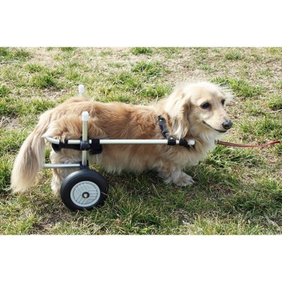 犬用車椅子 OX Sサイズ | tradexautomotive.com