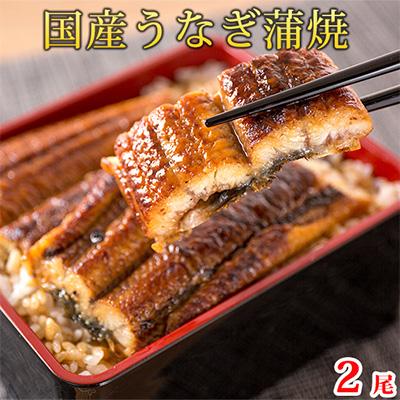 ふるさと納税 上富田町 魚鶴商店が選ぶ人気お魚B(サバフィレ・うなぎ蒲焼・紅鮭切身)全3回