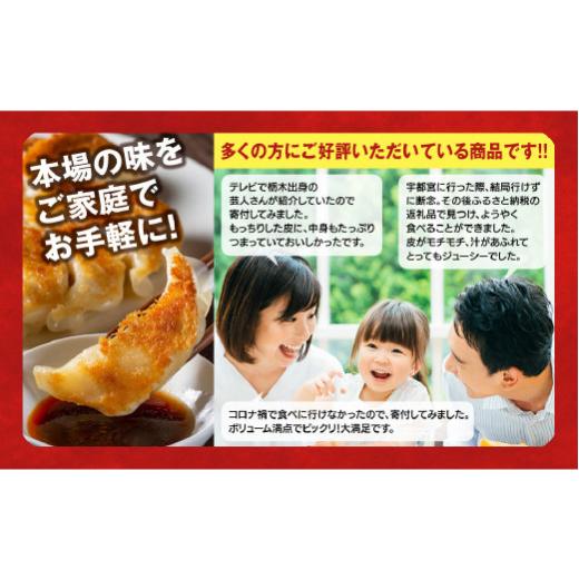 ふるさと納税 栃木県 宇都宮市 ＜konomi＞　餃子24個入り