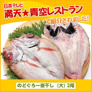 送料無料 脂の乗り抜群！浜田「香住屋」のどぐろ一夜干し 特大２尾入り（約640g）   お取り寄せ グルメ 食品 ギフト おすすめ お歳暮