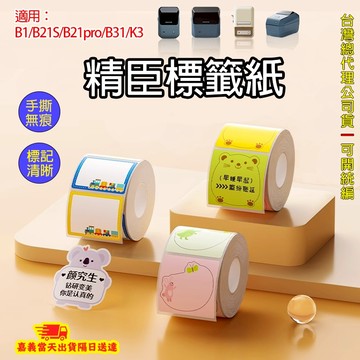 🔥 精臣標籤紙 精臣 B1/B21S/B21pro/B31/K3 標籤 防水 標籤紙 標籤貼 標籤貼紙 貼紙 姓名貼紙