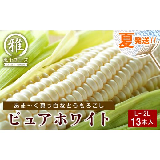 ふるさと納税 北海道 千歳市 2024年夏発送 白いとうもろこし ピュアホワイト L〜2L 13本
