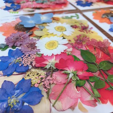 工藝品擺件組合款干花壓花diy手工相框書簽滴膠手機殼美妝臉部貼