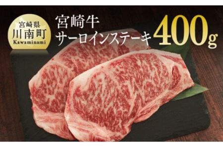 宮崎牛 サーロインステーキ 400g (200g×2)