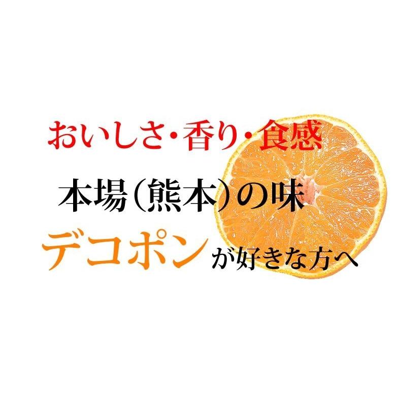 みかん デコポン 同品種 訳ありデコみかん 1.5kg S〜3L 送料無料 2セット購入で1セットおまけ 3セット購入で3セットおまけ 熊本県産 フルーツ ミカン 蜜柑