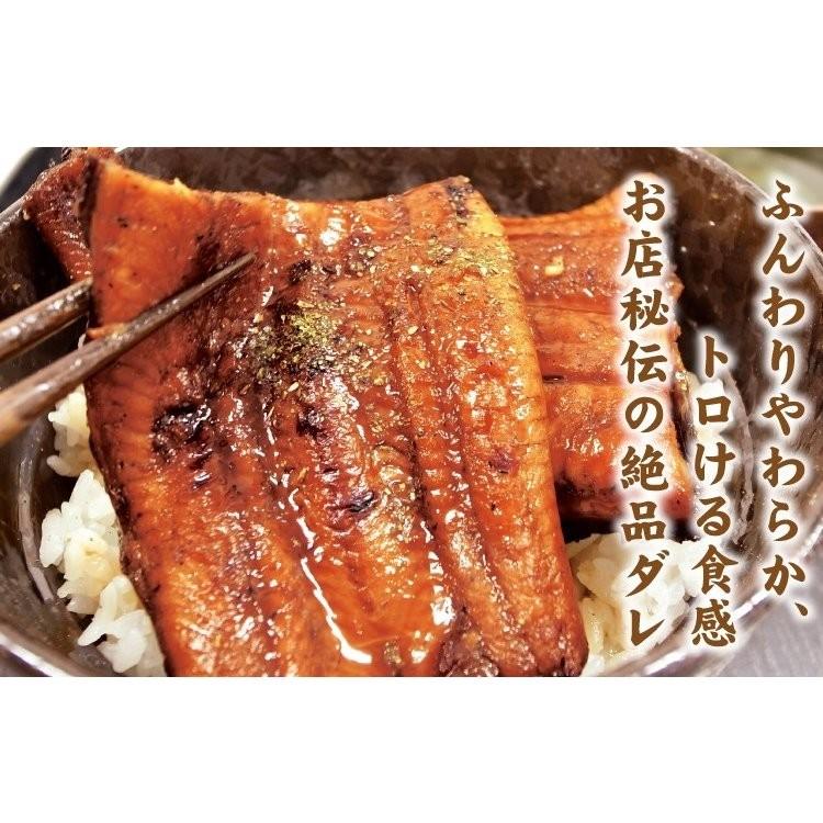 蒲焼き1本＆白焼き1本 国産 真空パック 浜名湖 長焼き 2人前  送料無料