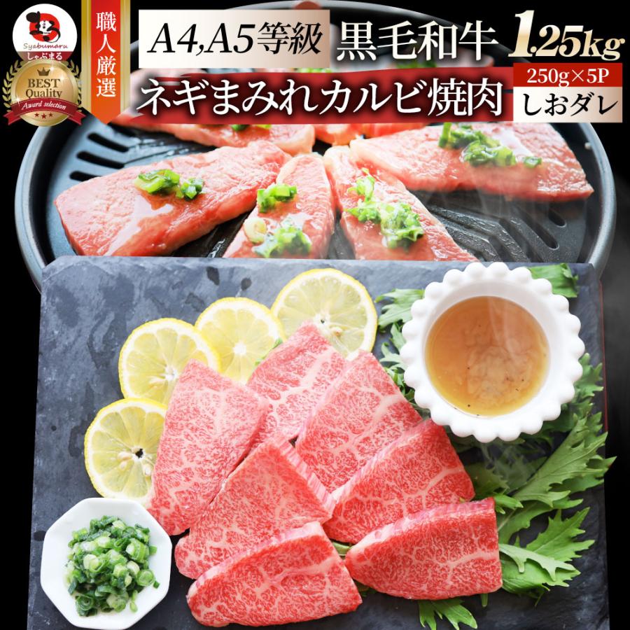 A4,A5等級 特選 黒毛和牛 カルビ焼肉 1.25kg  ねぎまみれ 旨塩ダレ（ A4 〜 A5等級 ）牛肉 肉 お歳暮 ギフト 食品 お祝い  霜降り 贅沢 黒毛 和牛