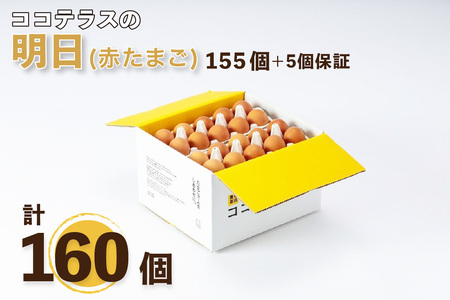 ココテラスの明日（赤たまご）155個 5個保証（計160個）