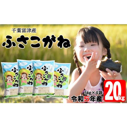 ふるさと納税 千葉県 富津市 令和5年 千葉富津産「ふさこがね」20kg（5kg×4袋）精米