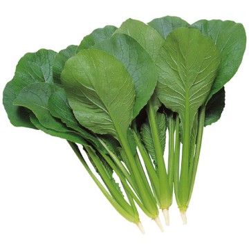 【拈花微笑】松泉菜｜種子｜3g｜非基因改造種子｜蔬菜｜蔬果｜有機無毒｜高發芽率