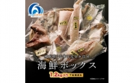 （冷凍） 南伊勢 海鮮 お宝 ボックス ／ 城水産 新鮮 海の幸 三重県 南伊勢町 伊勢志摩