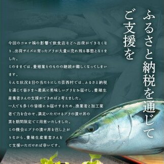 海鮮「ブリの漬け丼の素」1食80g×5P＋「訳ありカツオのたたき」600g以上《迷子のブリを食べて応援 養殖生産業者応援プロジェクト》／「ブリの漬け丼の素」と人気「訳ありカツオのたたき」緊急支援 惣菜