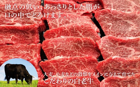 北海道 白老産 黒毛和牛 特上 モモ 焼肉 500ｇ (2・3人前)