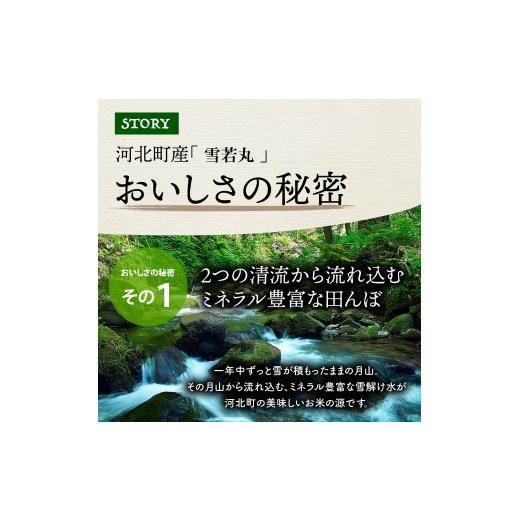 ふるさと納税 山形県 河北町 2024年1月発送分 雪若丸20kg（5kg×4袋）山形県産