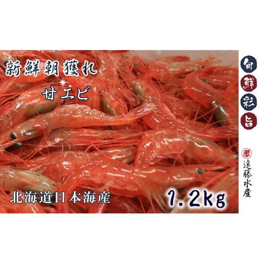 ふるさと納税 北海道 増毛町 5-013-020　甘えび 1.2kg（300g×4）