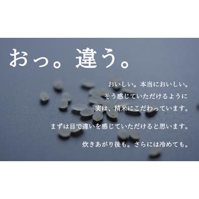 ふるさと納税 南魚沼市 南魚沼産コシヒカリ(精米) 『塩沢地区100%』 2kg×5